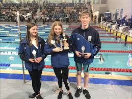Image result for Maxwell Swimming Club
