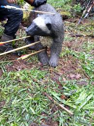 Image result for Long Eaton Field Archery Club