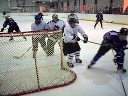 Image result for Streatham Night Wolves Ice Hockey Team