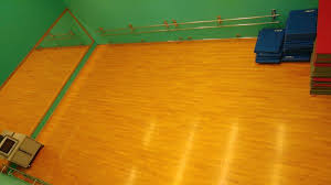 Image result for Shaw Badminton Club