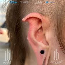Image result for ear mod