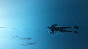 Image result for Bath Freediving Club