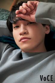 「二階堂桐」の画像検索結果