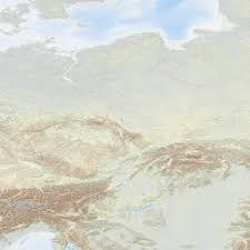 Attēlu rezultāti vaicājumam “Strongylosoma pallipes”