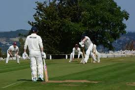 Image result for Whittle and Clayton Cricket Club