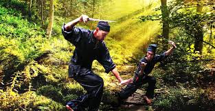 Image result for Silat Ikhtiar