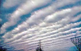 Attēlu rezultāti vaicājumam “altocumulus”