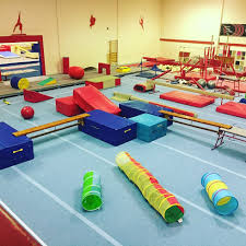 Image result for Tamworth Olympic Gymnastics Club