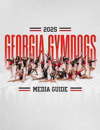 Image result for Charisma Gymnastics Club