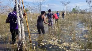 Image result for Slough