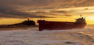 Image result for Pasha bulker