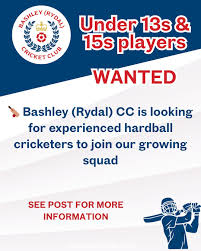 Image result for Bashley (Rydal) Cricket Club
