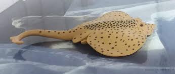 Image result for Raja montagui