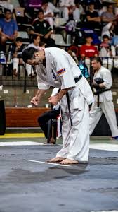 Image result for Kyokushin Karate