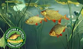 Image result for Reigate & District Angling Association