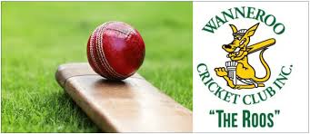 Image result for Thriplow Cricket Club