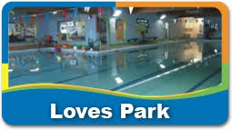 Image result for Loftus Dolphins Swimming Club