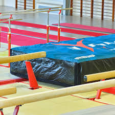 Image result for Aerodyne Gymnastics Club