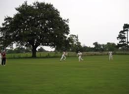 Image result for Lymm Oughtrington Park Cricket Club