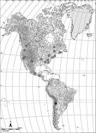 Attēlu rezultāti vaicājumam “Cephaloziella hampeana”