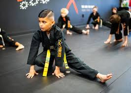 Image result for Phoenix Martial Arts