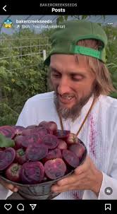 Afbeeldingsresultaat voor prudence purple tomato