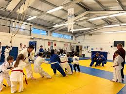 Image result for Redbridge Judo Club