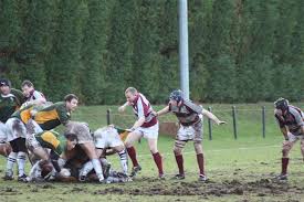 Image result for Wimbledon Rugby Football Club