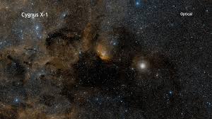 Attēlu rezultāti vaicājumam “Cygnus”