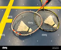 Image result for Slough Badminton Club