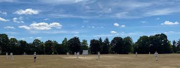 Image result for Almeley Cricket Club