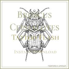 Attēlu rezultāti vaicājumam “Broscus cephalotes”