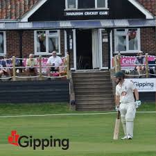 Image result for Hadleigh Cricket Club