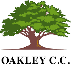 Image result for Bishops Waltham Cricket Club