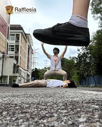 Image result for perspective photography