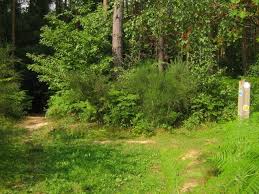 Image result for Pembury Cc