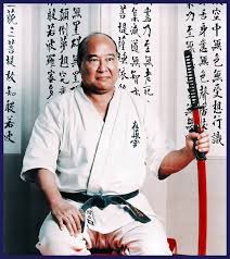 Image result for Kyokushin Karate