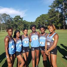 Image result for Ewell Mens Bowling Club