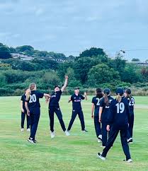 Image result for Pontblyddyn Cricket Club