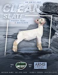 Image result for Southdown Club