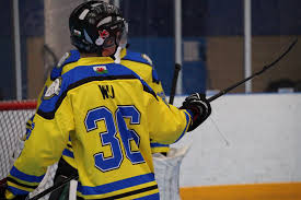 Image result for Llantwit Lions