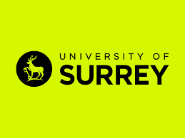 Image result for University Of Surrey