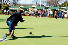 Image result for Fittleworth Bowls Club