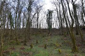 Image result for Annbank Angling Club