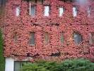 Northern Michigan in Colorful Autumn Season