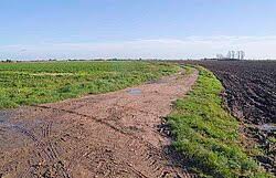 Image result for Holbeach and Fenland