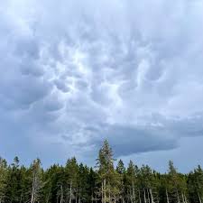 Attēlu rezultāti vaicājumam “Mammatus”
