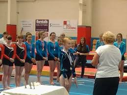 Image result for Brumby Gymnastics Club