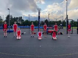 Image result for Ipswich Ladies Netball Club