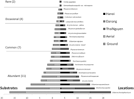 Attēlu rezultāti vaicājumam “Diderma hemisphaericum stalked”
